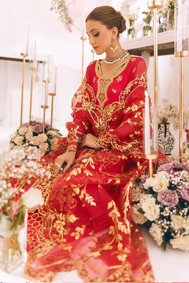 Roheenaz - Design 10 Sawariya Luxury Kalidaar Chiffon Collection